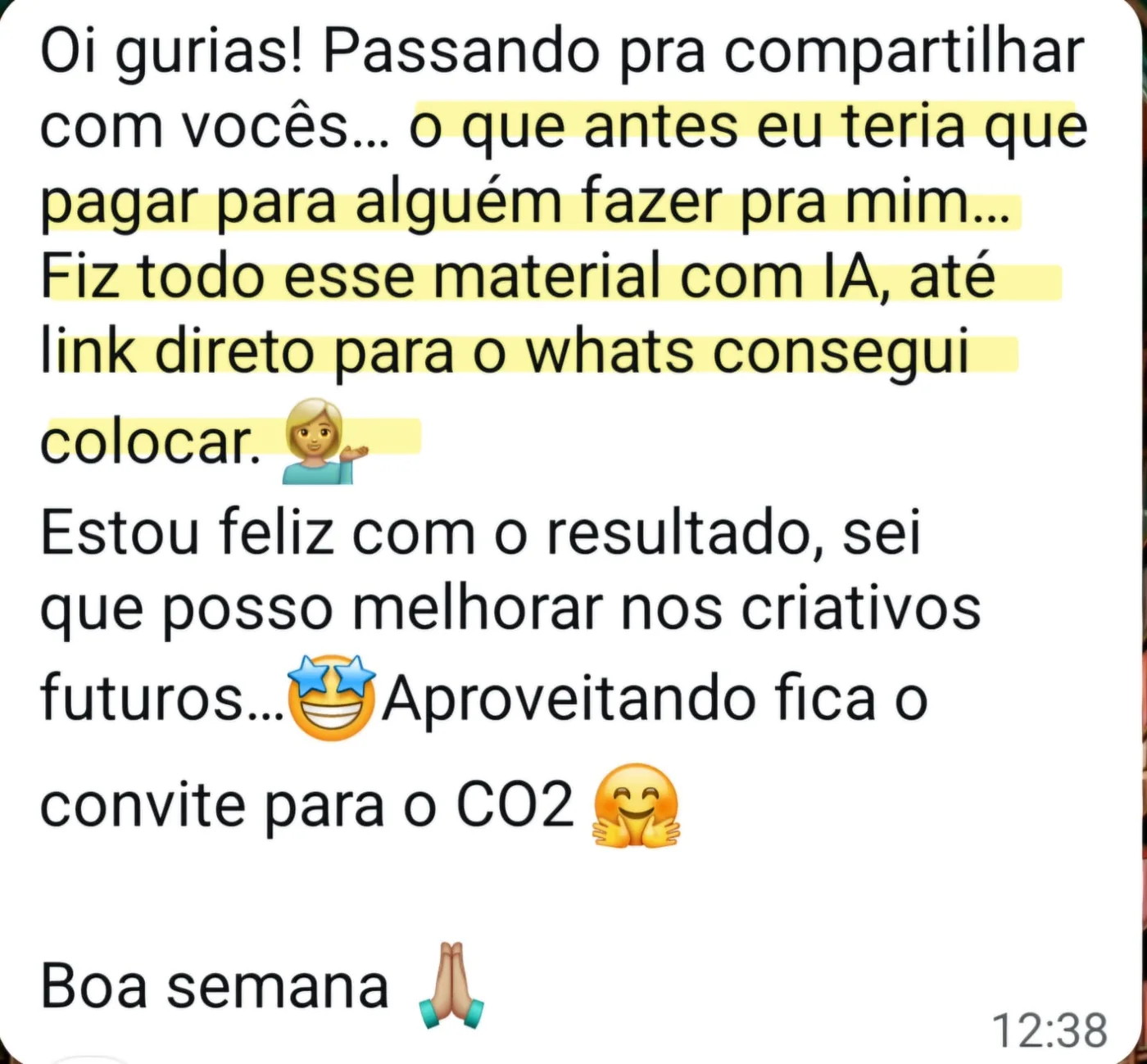 Print de WhatsApp: o que antes eu teria que pagar para alguem fazer pra mim, fiz todo esse material com IA, ate link direto para o whats consegui colocar.